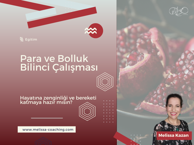 Para ve Bolluk Bilinci